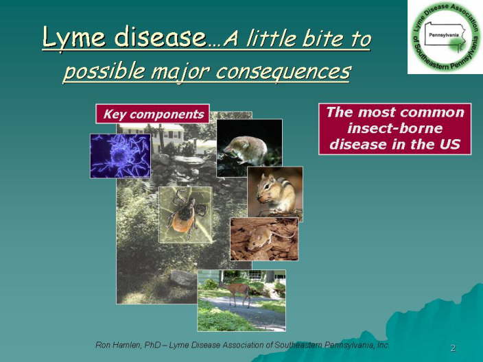 Slide02