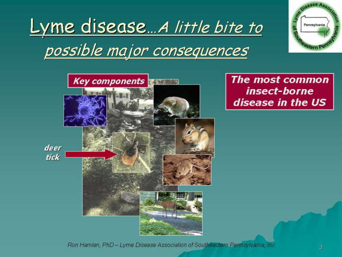 Slide03