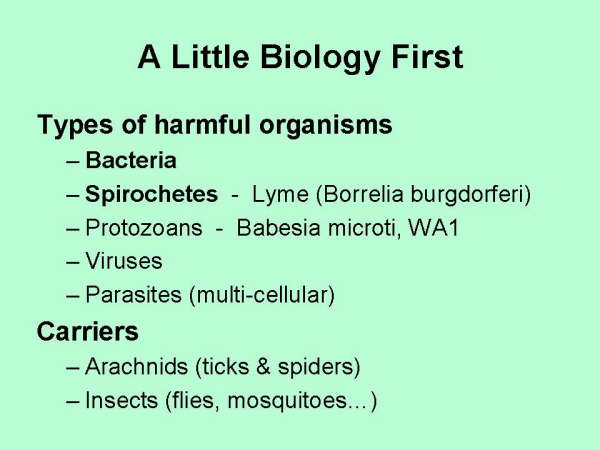 Slide11